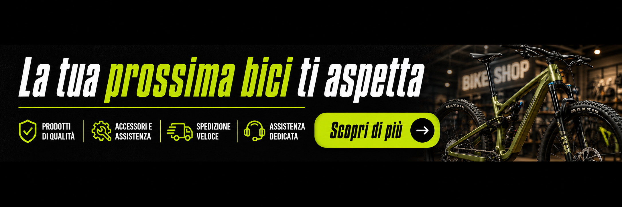 spot_img